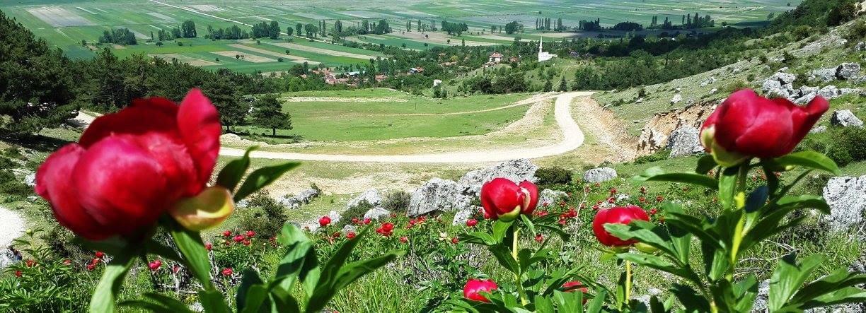 DOĞAYLA BAŞ BAŞA GÜNÜBİRLİK & KONAKLAMALI KÖY TURLARI 