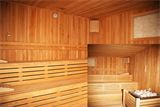F : 511 - arpacikonak2__Small_.jpg