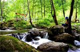 F : 3194 - MASUKIYERES.jpg