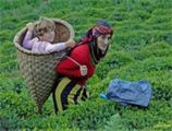 Karadeniz turu