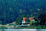 F : 293 - abantilkbahar2.jpg F : 293 - abantilkbahar2.jpg