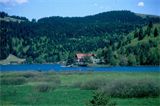 F : 269 - abantgolumuz3.jpg F : 269 - abantgolumuz3.jpg