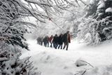 F : 308 - abantturufoto.jpg F : 308 - abantturufoto.jpg
