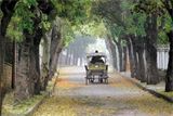 F : 4522 - yedigollerdesonbahar3.jpg F : 4522 - yedigollerdesonbahar3.jpg
