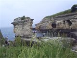 F : 1995 - kefkenpembekayalar.jpg