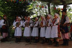 F : 802 - ASSOS.jpg
