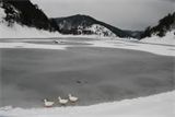 F : 1396 - goynuk__Small_.jpg