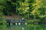 F : 4976 - yedigollerilbahar_3.jpg
