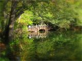 F : 3216 - yedigoller1.jpg