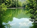 F : 4716 - yedigollerilkbahar__8_.jpg F : 4716 - yedigollerilkbahar__8_.jpg