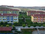 Başaranlar