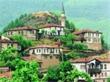 Taraklı