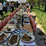 Urla Enginar Festivali, Konaklamalı Urla Enginar Festivali, Urla Turları