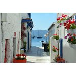 Her Gün Bodrum Turu, 7 gece 8 gün, Yarım Pansiyon