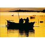 Kurban Bayramı Mudanya-Trilye-Uluabat Gölü