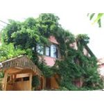 Polonezköy- Riva Turu-Günübirlik