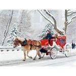 Yılbaşı Abant Turu, Yılbaşı Abant Turları 