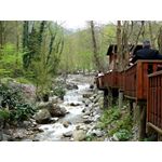Günübirlik Maşukiye-Sapanca-Kartepe Turu, Maşukiye-Sapanca Turu