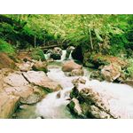Akçakoca-Samandere-Güzeldere-Efteni 2
